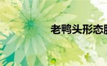 老鸭头形态股（老鸭头）