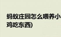 蚂蚁庄园怎么喂养小鸡(蚂蚁庄园怎么喂养小鸡吃东西)