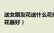送女朋友花送什么花便宜（送女朋友花送什么花最好）