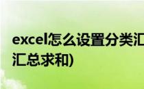 excel怎么设置分类汇总?(excel怎么设置分类汇总求和)