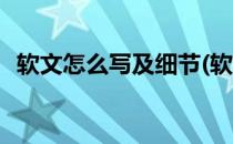 软文怎么写及细节(软文怎么写及细节描述)