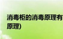 消毒柜的消毒原理有哪些怎么选(消毒柜什么原理)