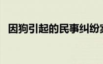 因狗引起的民事纠纷案例（民事纠纷案例）