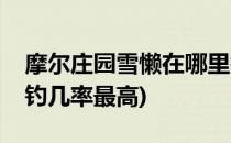 摩尔庄园雪懒在哪里钓(摩尔庄园雪懒在哪里钓几率最高)