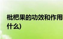 枇杷果的功效和作用(枇杷果的功效和作用是什么)