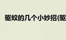驱蚊的几个小妙招(驱蚊的几个小妙招图片)
