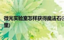 微光实验室怎样获得魔法石(微光实验室的蘑菇的魔法石在哪里)
