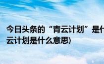 今日头条的“青云计划”是什么怎样才能入选(今日头条的青云计划是什么意思)