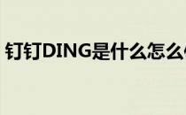 钉钉DING是什么怎么使用(钉钉ding是什么)