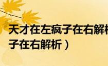 天才在左疯子在右解析四维虫子（天才在左疯子在右解析）
