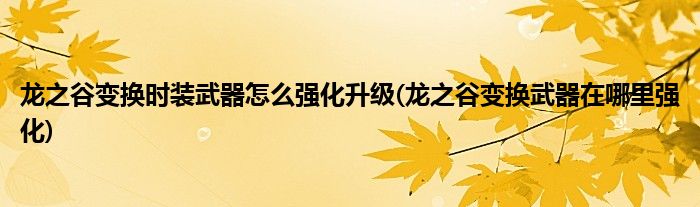 龙之谷变换时装武器怎么强化升级(龙之谷变换武器在哪里强化)