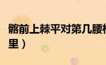 髂前上棘平对第几腰椎（髂前上棘自己摸是哪里）