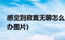 感觉到寂寞无聊怎么办(感觉到寂寞无聊怎么办图片)