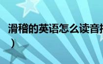 滑稽的英语怎么读音播放（滑稽的英语怎么读）