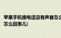 苹果手机接电话没有声音怎么回事(苹果手机接电话没有声音怎么回事儿)