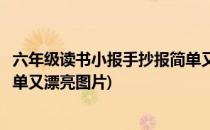 六年级读书小报手抄报简单又漂亮(六年级读书小报手抄报简单又漂亮图片)