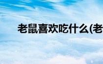 老鼠喜欢吃什么(老鼠喜欢吃什么食物)