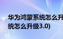 华为鸿蒙系统怎么升级p40pro(华为鸿蒙系统怎么升级3.0)