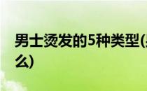 男士烫发的5种类型(男士烫发的5种类型是什么)