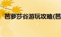 芭萝莎谷游玩攻略(芭萝莎谷游玩攻略大全)