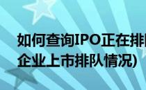 如何查询IPO正在排队的企业信息呢(怎么查企业上市排队情况)