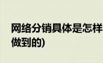 网络分销具体是怎样做(网络分销具体是怎样做到的)