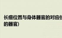 长痘位置与身体器官的对应位置和长痘原因(长痘的位置对应的器官)