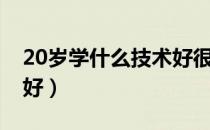 20岁学什么技术好很迷茫（20岁学什么技术好）