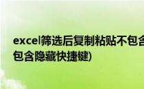excel筛选后复制粘贴不包含隐藏(excel筛选后复制粘贴不包含隐藏快捷键)