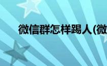 微信群怎样踢人(微信群怎么踢人出去)