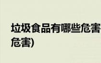 垃圾食品有哪些危害(腌制类垃圾食品有哪些危害)