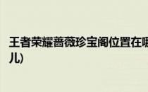 王者荣耀蔷薇珍宝阁位置在哪(王者荣耀蔷薇珍宝阁位置在哪儿)