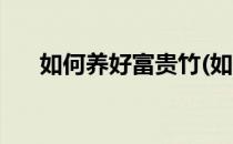 如何养好富贵竹(如何养好富贵竹盆栽)