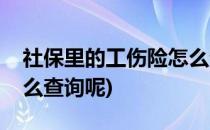 社保里的工伤险怎么查询(社保里的工伤险怎么查询呢)