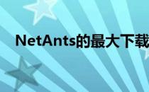 NetAnts的最大下载任务数目要怎么更改