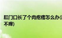 肛门口长了个肉疙瘩怎么办(肛门口长了个肉疙瘩怎么办不疼不痒)