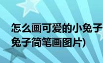 怎么画可爱的小兔子简笔画(怎么画可爱的小兔子简笔画图片)