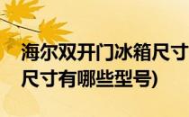 海尔双开门冰箱尺寸有哪些(海尔双开门冰箱尺寸有哪些型号)