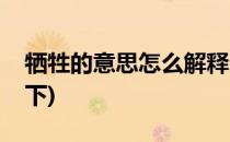 牺牲的意思怎么解释(牺牲的意思怎么解释一下)