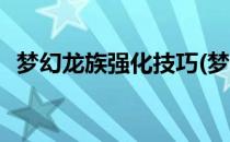 梦幻龙族强化技巧(梦幻龙族强化技巧加点)