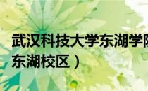 武汉科技大学东湖学院是几本（武汉科技学院东湖校区）