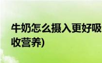 牛奶怎么摄入更好吸收(牛奶怎么摄入更好吸收营养)