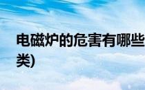 电磁炉的危害有哪些(电磁炉的危害有哪些种类)