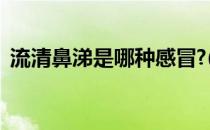 流清鼻涕是哪种感冒?(流黄鼻涕是哪种感冒)