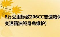 8万公里标致206CC变速箱保养循环机换油保养(标致207的变速箱油终身免维护)