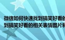 微信如何快速找到搞笑好看的相关表情图片(微信如何快速找到搞笑好看的相关表情图片和视频)