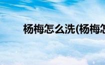 杨梅怎么洗(杨梅怎么洗虫子能出来)