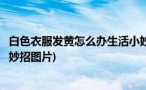 白色衣服发黄怎么办生活小妙招(白色衣服发黄怎么办生活小妙招图片)