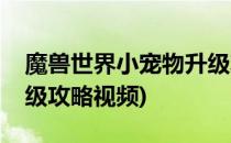 魔兽世界小宠物升级攻略(魔兽世界小宠物升级攻略视频)