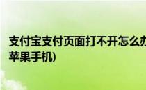 支付宝支付页面打不开怎么办(支付宝支付页面打不开怎么办苹果手机)